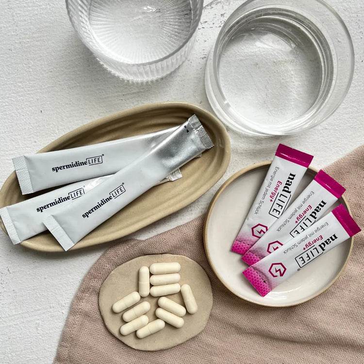 Longevity Labs